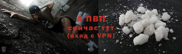 PSILOCYBIN Вязники