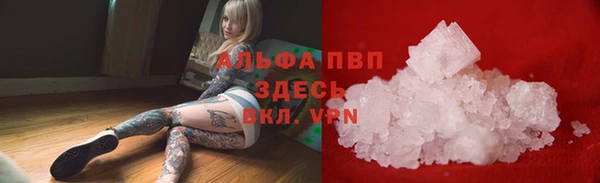PSILOCYBIN Вязники