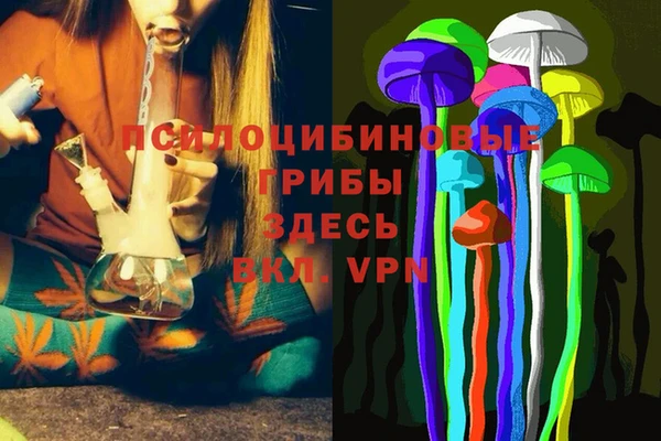 кокаин перу Вяземский