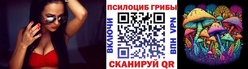 Галлюциногенные грибы Magic Shrooms  магазин продажи   Черкесск 