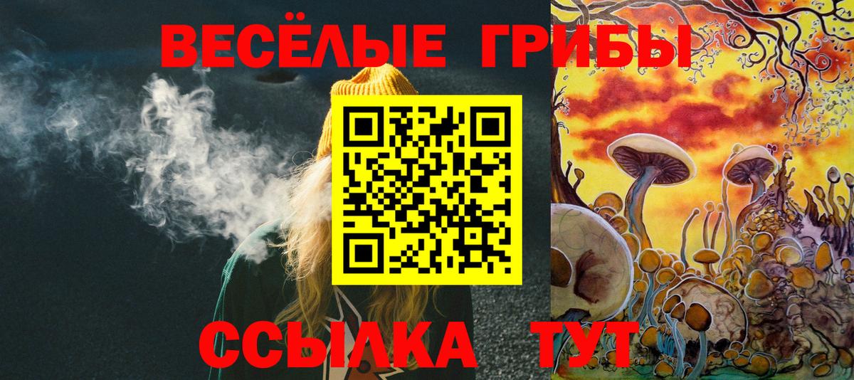 Галлюциногенные грибы Psilocybine cubensis  Галлюциногенные грибы MAGIC MUSHROOMS  Вход с VPN  Черкесск 