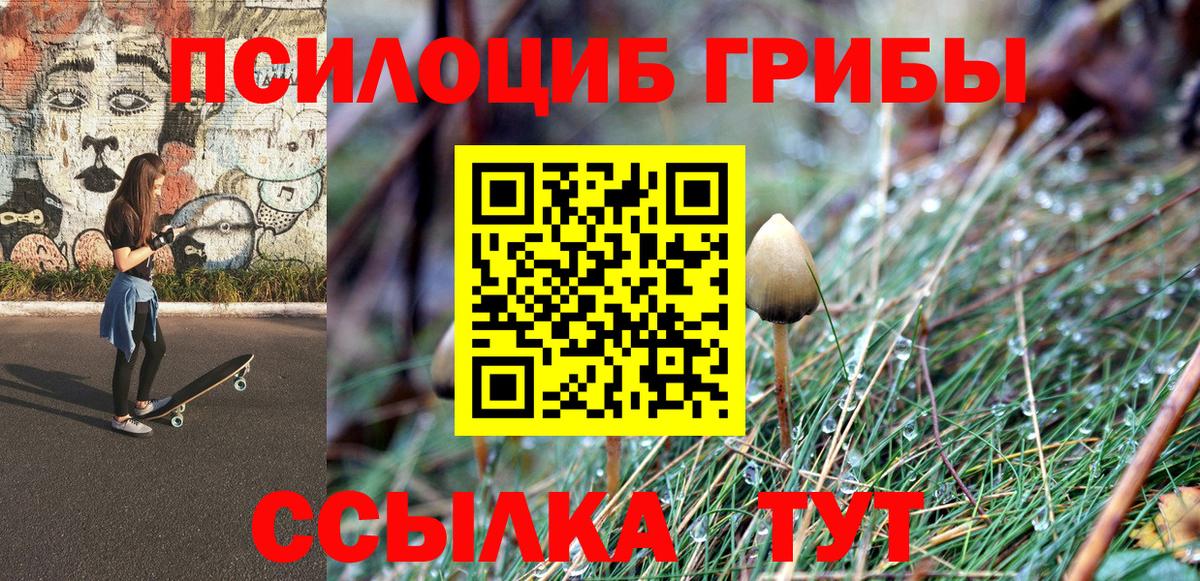 Псилоцибиновые грибы Magic Shrooms Черкесск