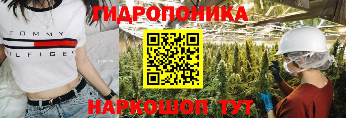 A PVP Черкесск